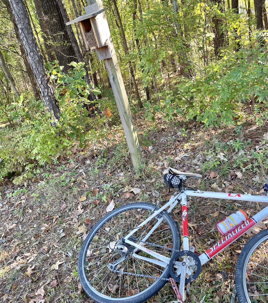 One of the bluebird boxes along the trails