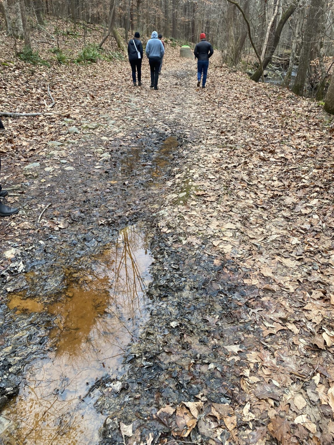 An accessible Bolin Creek Greenway will transform Carrboro for all