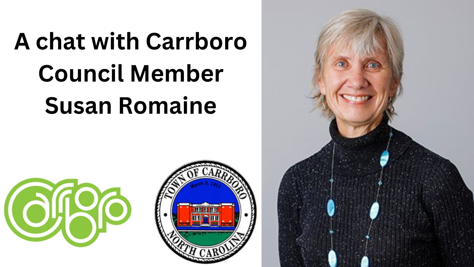 Susan Blogspot Chatting with Carrboro Town Council Member Susan Romaine - Triangle ...