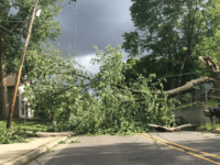 Connecting Carrboro: Rethinking the way we structure our traffic and roads