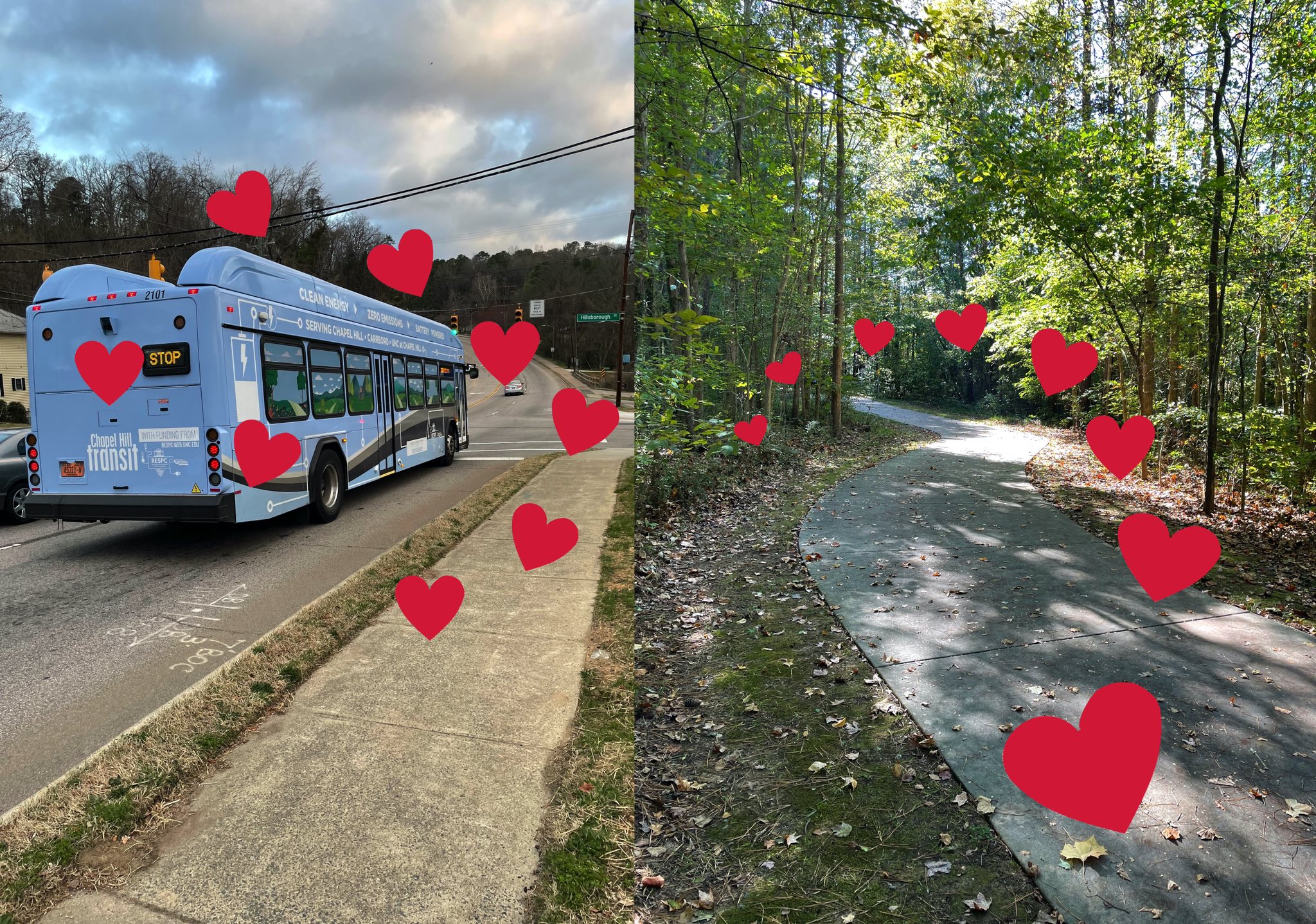 bus-hearts