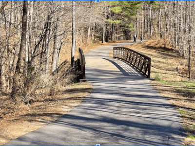 The Fan Branch Trail: Year of the Trail in North Carolina