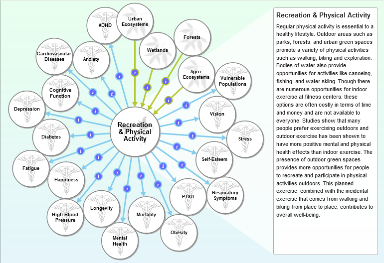 ecohealth relationship browser