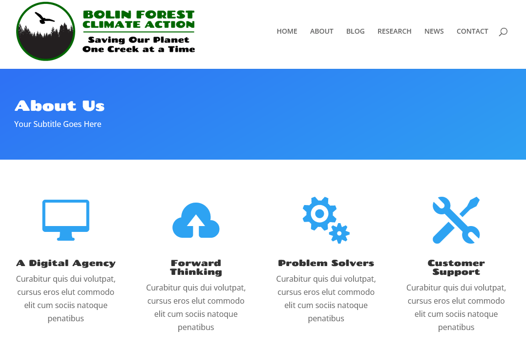 Page of the “Bolin Creek Climate Action” website with loren iipsum text.