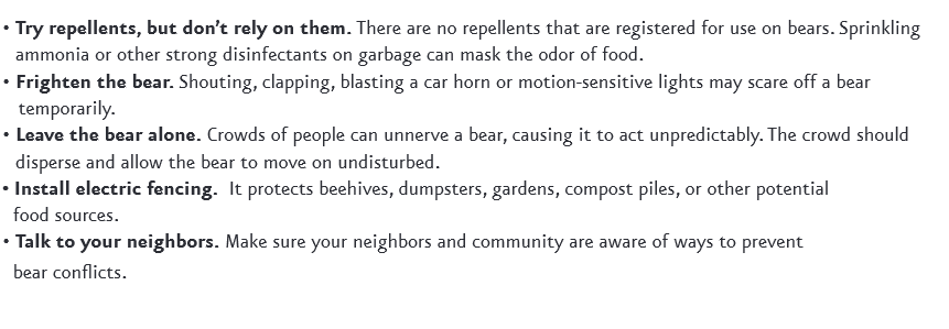 Try repellents, but don’t rely on them. There are no repellents that are registered for use on bears. Sprinklingammonia or other strong disinfectants on garbage can mask the odor of food. • Frighten the bear. Shouting, clapping, blasting a car horn or motion-sensitive lights may scare off a bear temporarily. • Leave the bear alone. Crowds of people can unnerve a bear, causing it to act unpredictably. The crowd should disperse and allow the bear to move on undisturbed. • Install electric fencing. It protects beehives, dumpsters, gardens, compost piles, or other potential food sources. • Talk to your neighbors. Make sure your neighbors and community are aware of ways to prevent bear conflicts