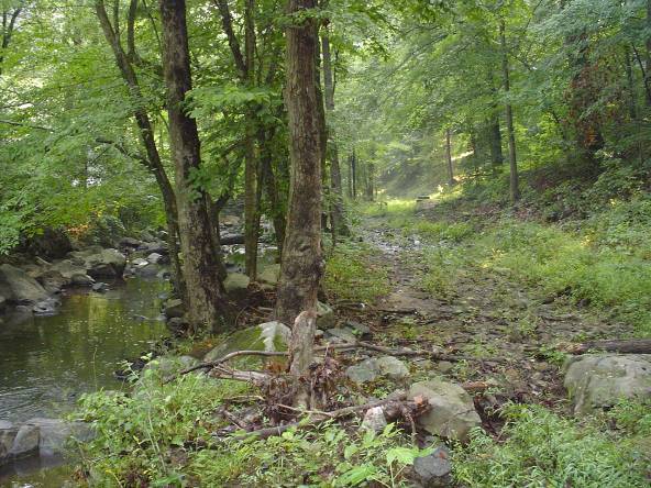 A picture of Bolin Creek in Chapel Hill taken in 2007, before a trail was built alongside the creek.