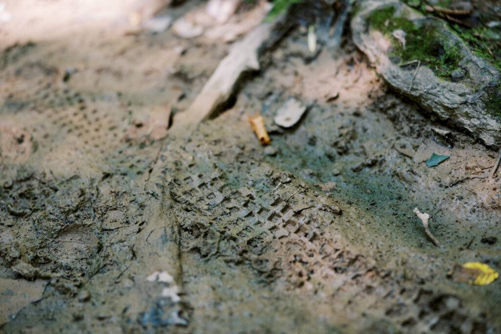 A photo of creek side damage and erosion