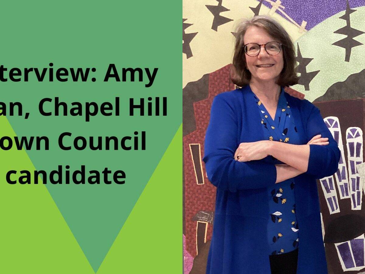 Interview: Chapel Hill Town Council candidate Amy Ryan