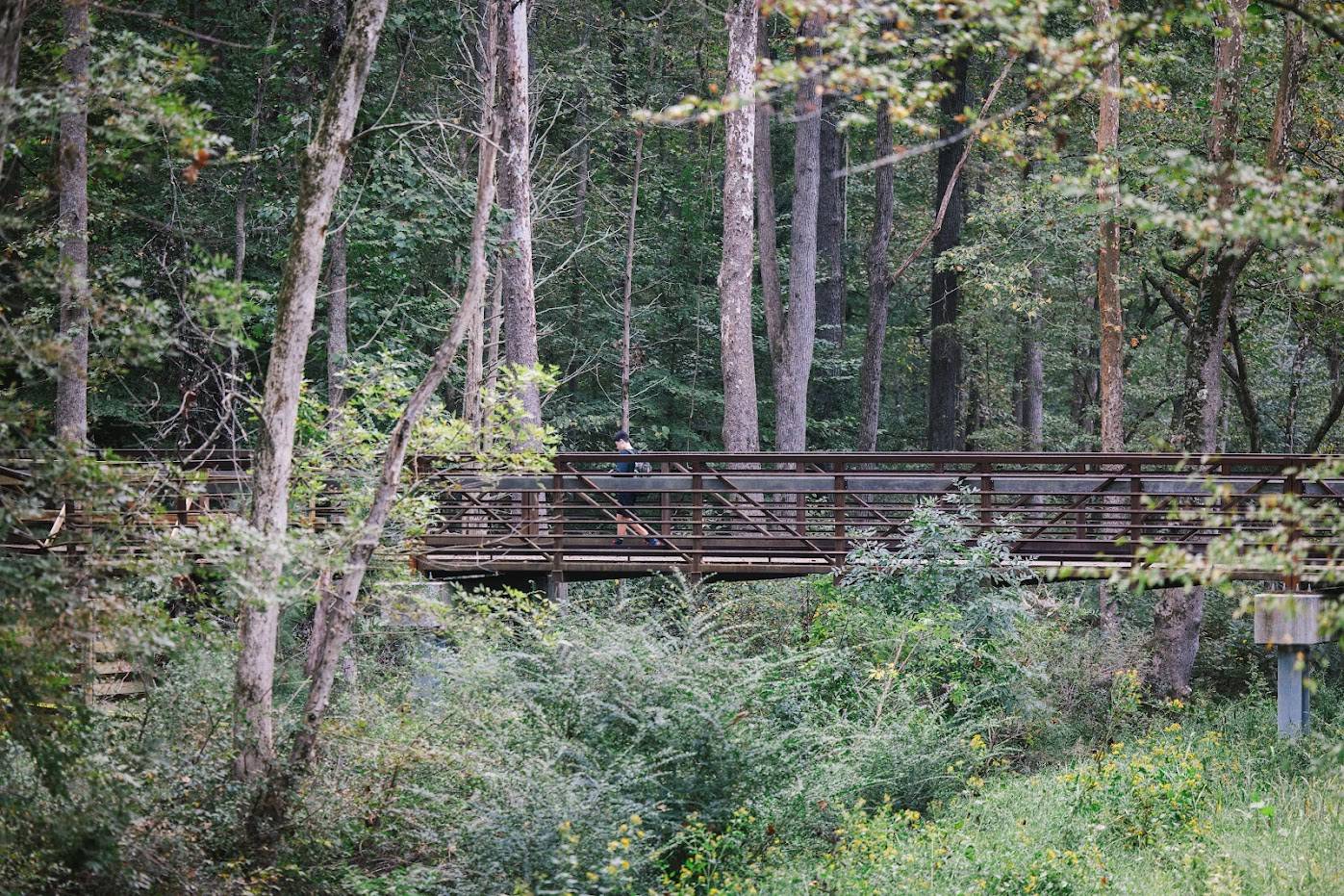 Tonight is going to be a historic meeting for Carrboro's greenways