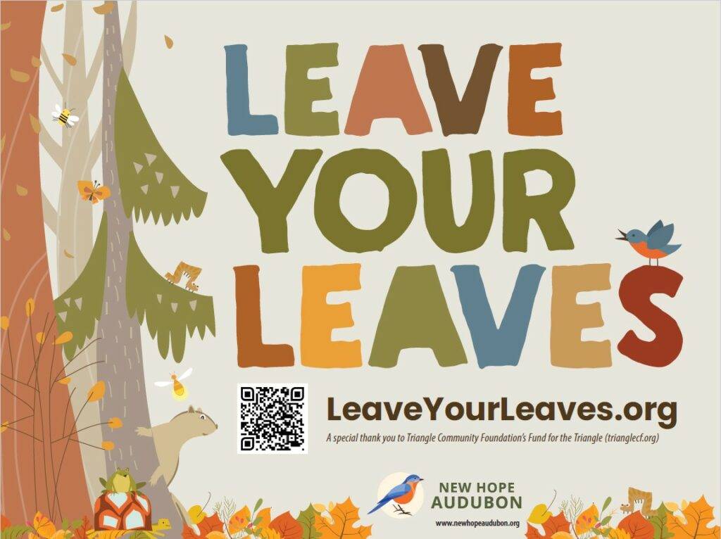 leave-your-leaves