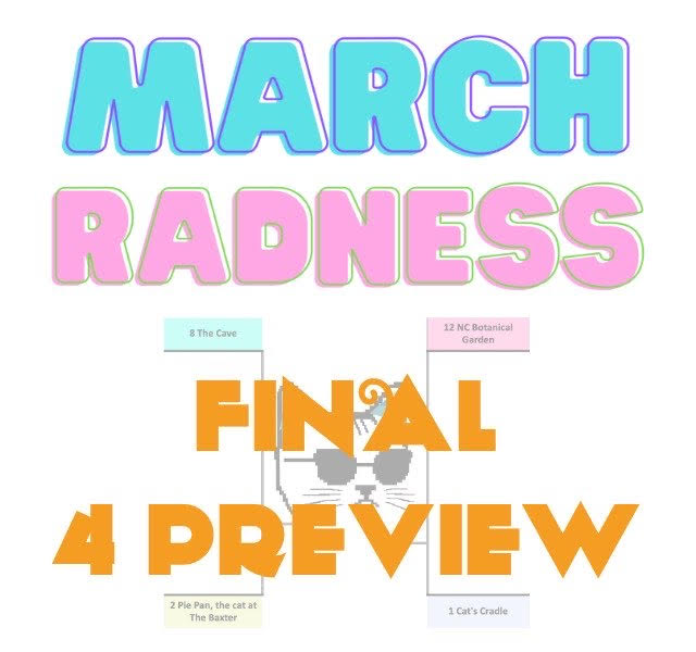 March Radness Live Blog: Final 4 preview, voting next week