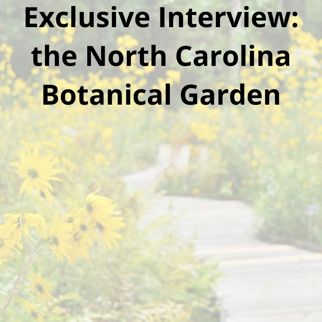 Interview: the North Carolina Botanical Garden