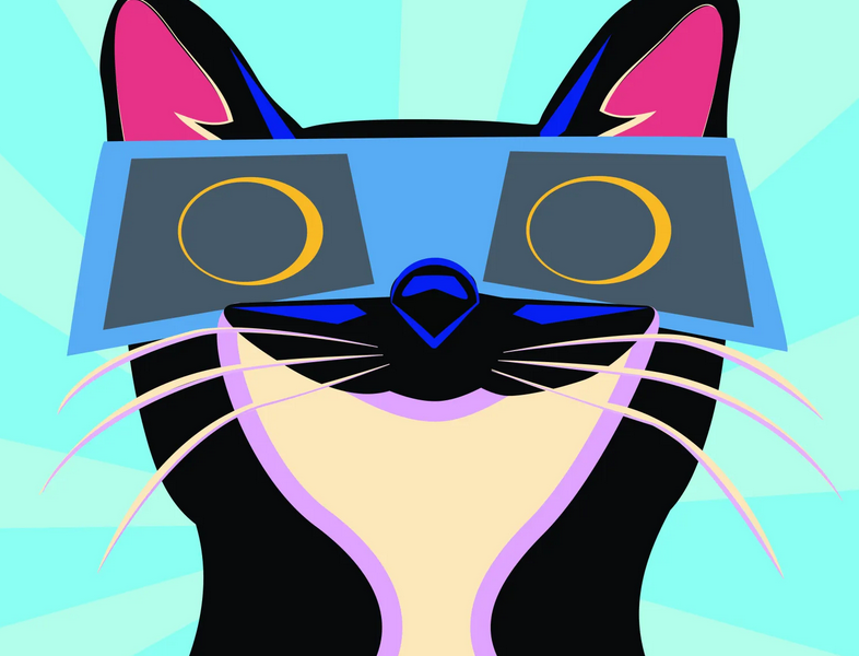 solar-eclipse-cat