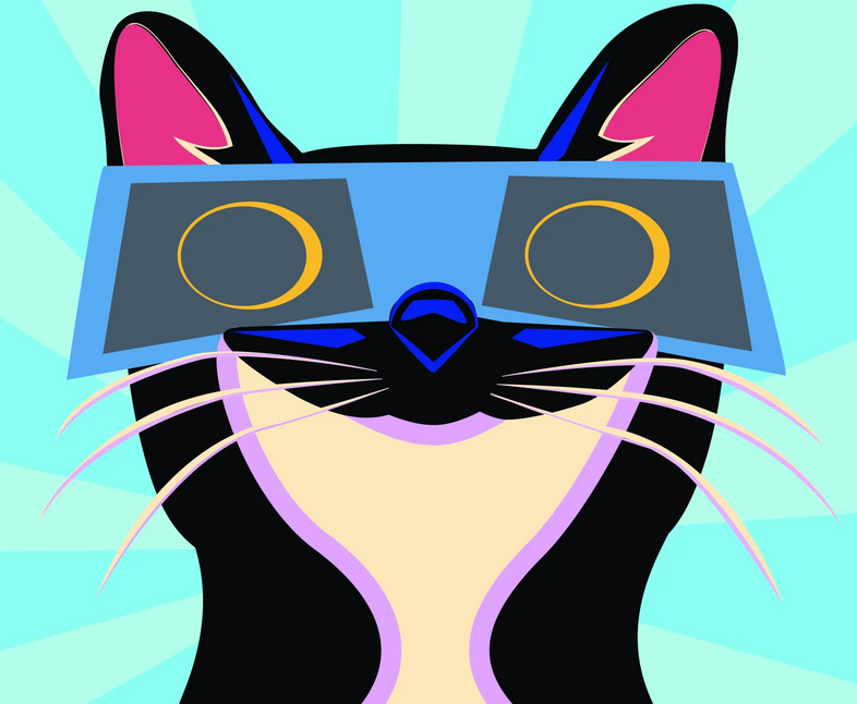 solar-eclipse-cat