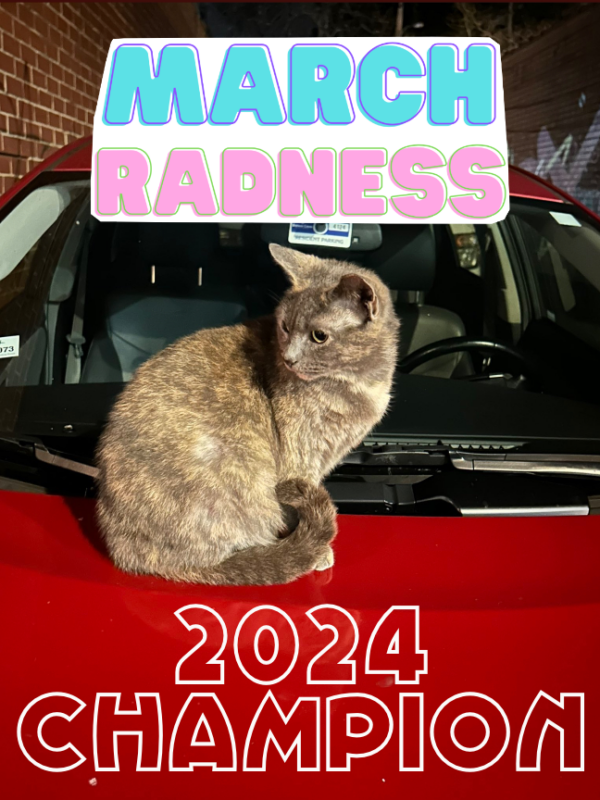 Pie Pan is your 2024 March Radness Champion