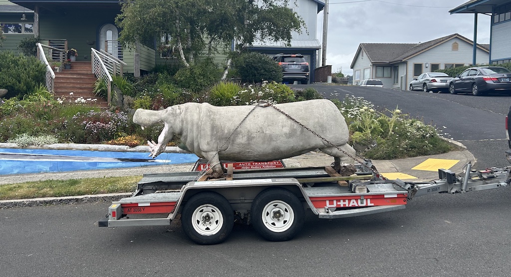 Hippo loaded up on a trailer in Newport, Oregon