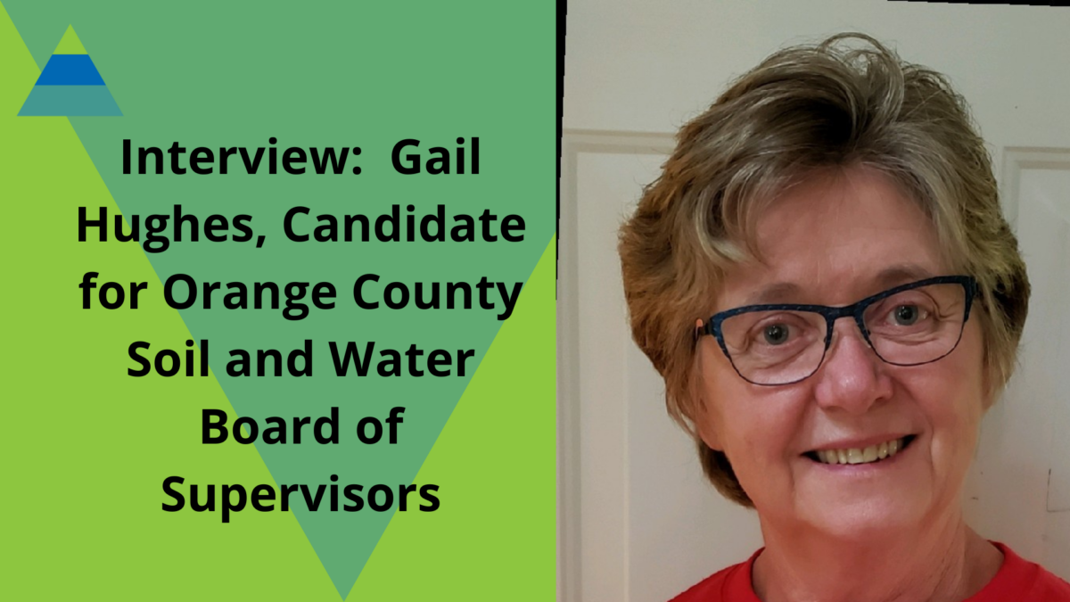 Interview: Gail Hughes, Candidate For Orange County Soil And Water 