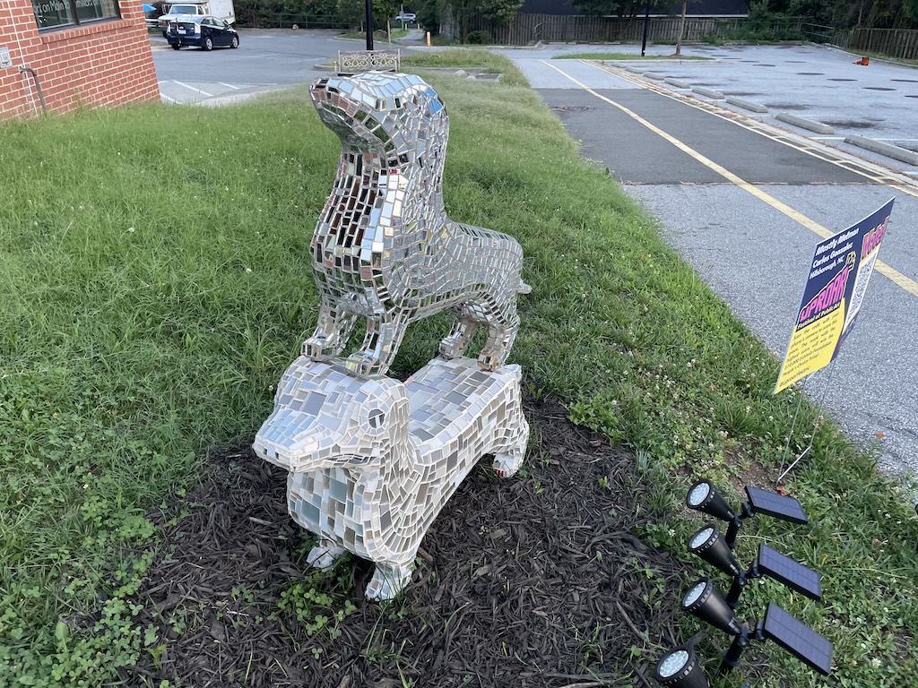 Shiny Dog