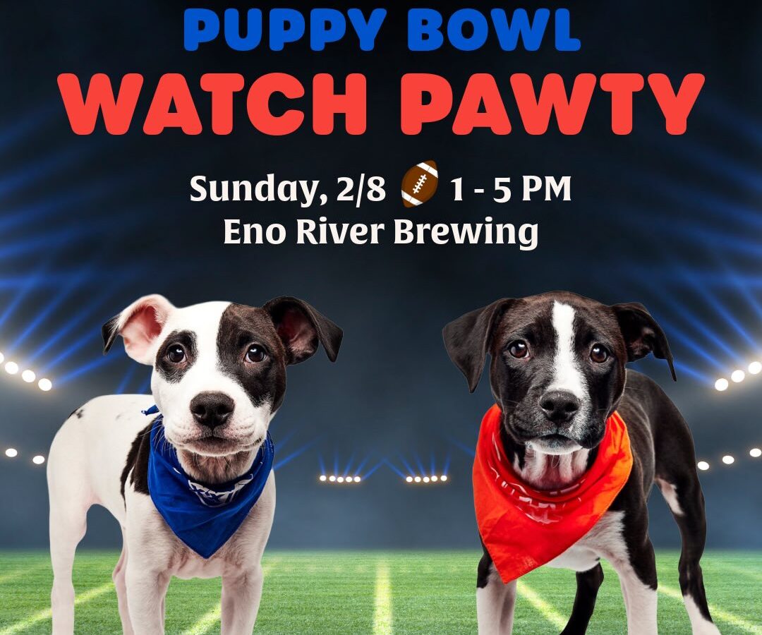 Advertisement for a puppy bowl watch party