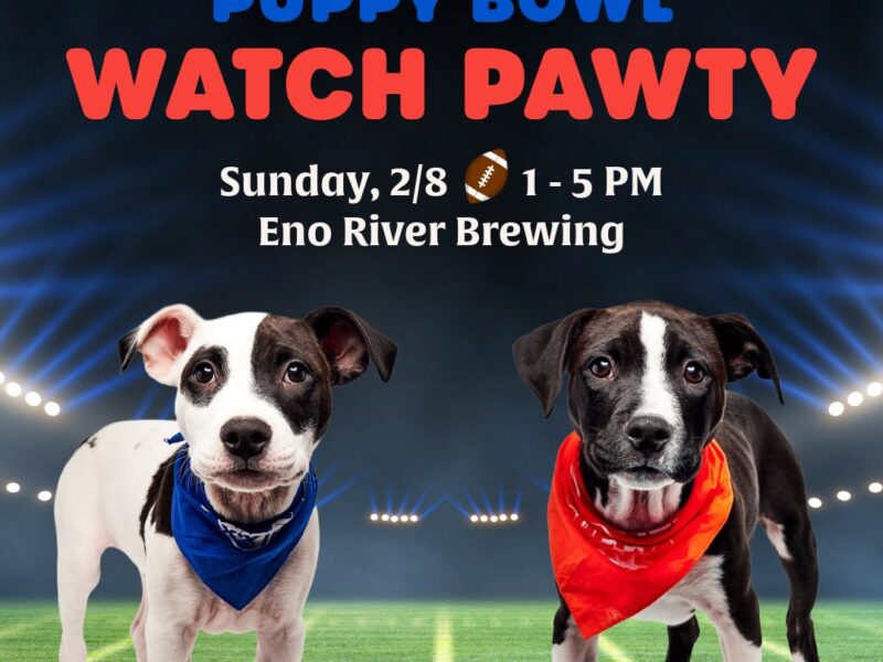 Advertisement for a puppy bowl watch party