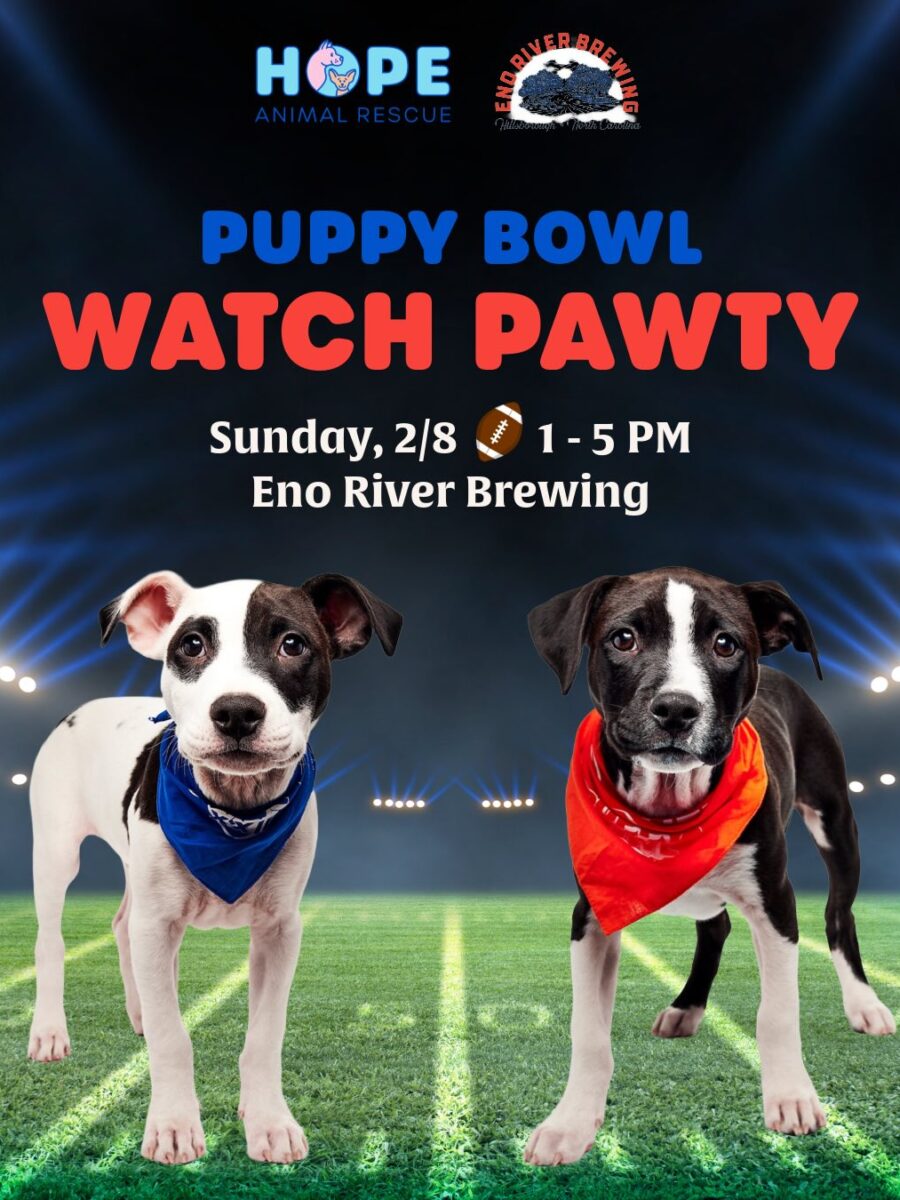 Two local rescue pups appearing in the 2026 Puppy Bowl